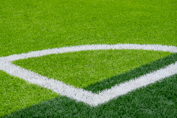 Freshly Cut Green Grass with Diagonal Lines