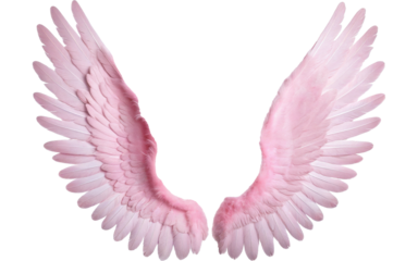 robotic hand on transparent background