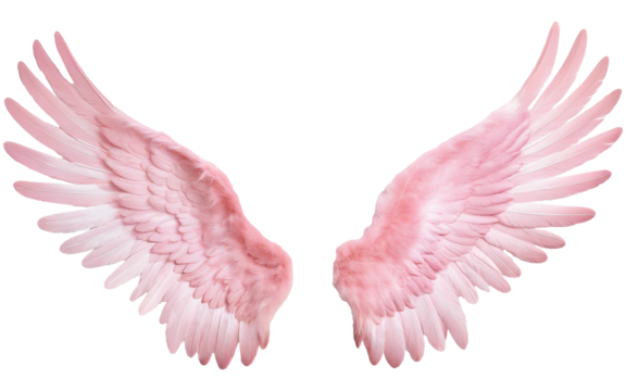 photorealistic pink angel wings - Powered by Adobe
