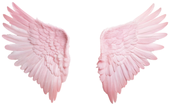 robotic hand on transparent background