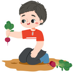Cute asian boy is harvesting red radish in farmland in a summer