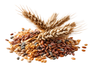 Mixed grains with wheat stalks create vibrant display of natural textures and colors, showcasing beauty of agricultural produce. This captures essence of wholesome grains