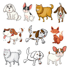 set of dogs