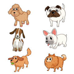 set of cartoon animals