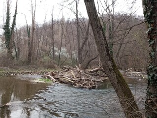 Spring on the river 2