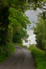 Obraz premium Serene Country Road in Styria, Austria – Lush Greenery and Pathway