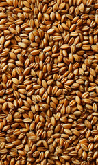 Fototapeta premium Golden harvest a bountiful display of wheat grains showcasing nature's abundance and agricultural wealth