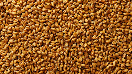 Fototapeta premium Golden texture of wheat seeds creating an organic pattern perfect for agriculture related designs