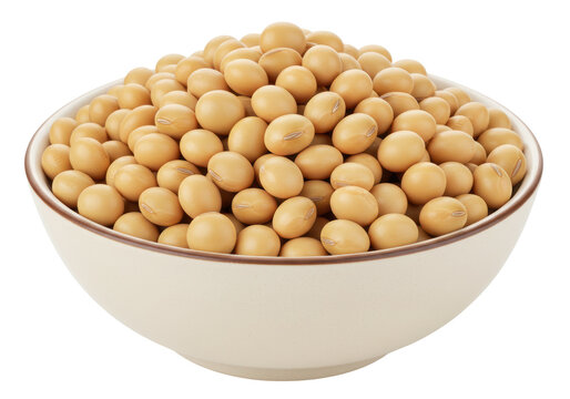Isolated Soybeans in Bowl Pile of Yellow Beans