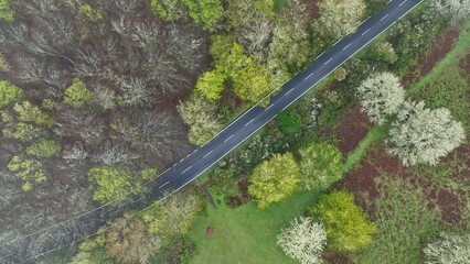 Aerial View of Asphalt Road in High Mountain Landscape , Madeira Island , Portugal