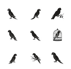 Group parrot vector design