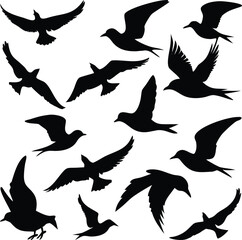 Silhouettes of birds flying isolated on white background