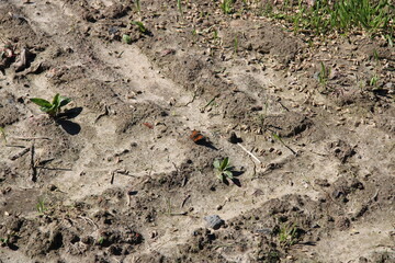 The earth is large and there is a small butterfly on it,