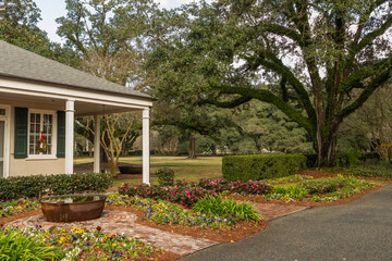 Photographs of a former plantation near New Orleans capture historic mansions, grand oak-lined avenues, and remnants of antebellum architecture