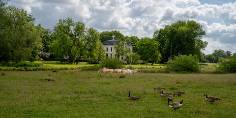 Scenic beauty around Breda, Netherlands