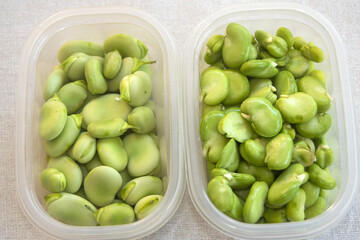 Fresh Broad Beans in Storage Containers