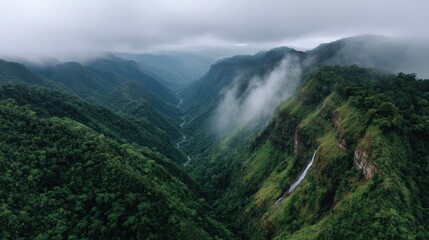Dramatic aerial view of a hidden jungle canyon revealing steep green walls and cascading waterfalls in a tropical rainforest
