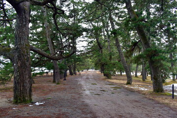 京都　天橋立　雪景色