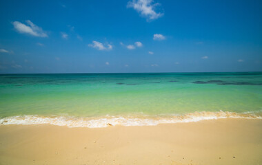 Fototapeta premium Generated image