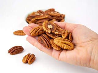 Hand holding pecan nuts, isolated white background