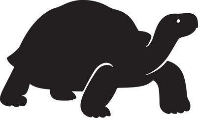 a galapagos tortoise vector