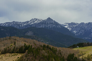 Obraz premium snow covered mountains with pine trees and cloudy sky in carpathians range romania