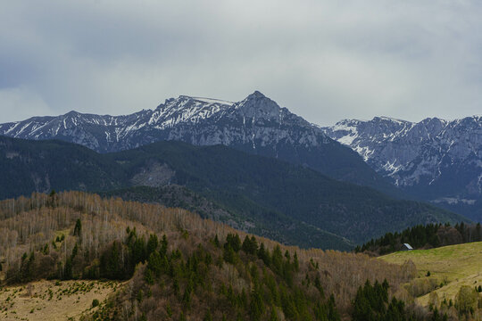 snow covered mountains with pine trees and cloudy sky in carpathians range romania