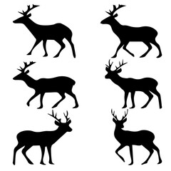 A set of deer black vector image .Illustrator image ,icons and art.