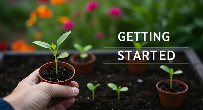Getting started with a new gardening hobby. A person's hand carefully holds a small pot with a young green seedling, ready for planting in a garden planter.