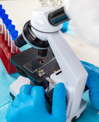 examine blood in the laboratory. Selective focus.