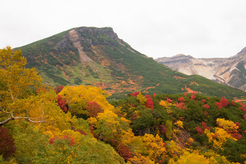 カラフルな秋の高原と山並み
