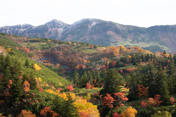 カラフルな秋の高原と山並み