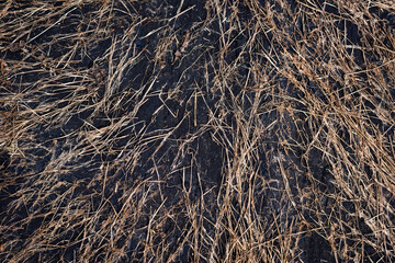 Black Tar-Coated Bottom of Fishing Boat with Stuck Dry Grass — Close-Up Texture Shot with Copy Space