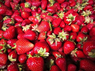 Lots of strawberries on the pile in spring