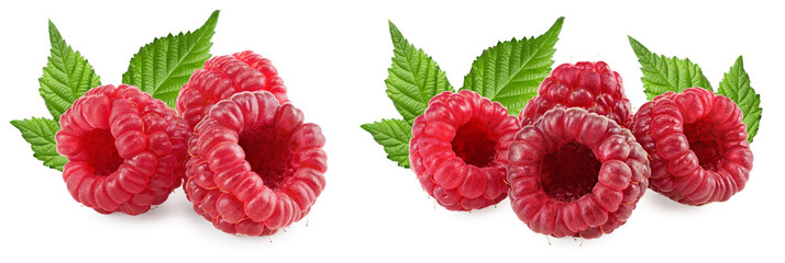 ripe raspberries with green leaves isolated on white background. clipping path