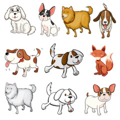 collection of dogs