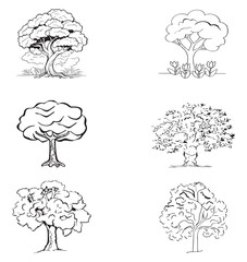 tree vector pictures