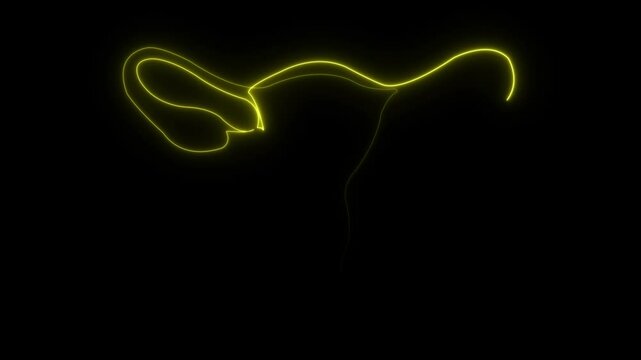Abstract glowing of woman uterus. Ovary and cervix of womb reproductive health in simple linear style for logo and card gynecology medical clinic.
