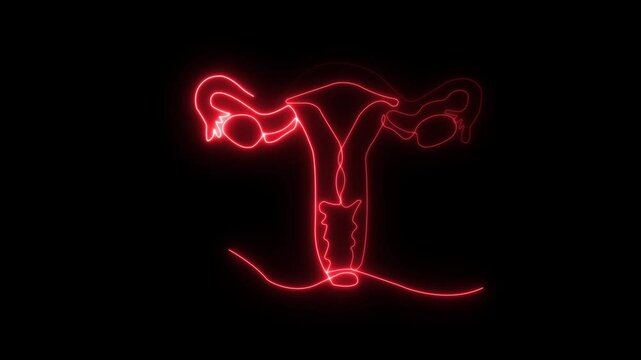 Abstract glowing of woman uterus. Ovary and cervix of womb reproductive health in simple linear style for logo and card gynecology medical clinic.