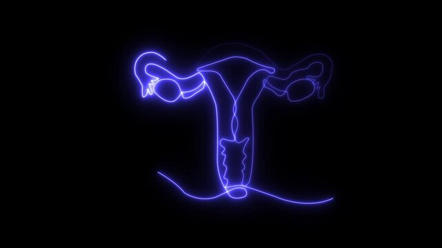 Abstract glowing of woman uterus. Ovary and cervix of womb reproductive health in simple linear style for logo and card gynecology medical clinic.