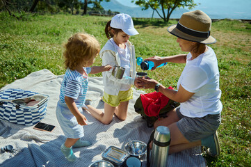 Family Picnic in Mountain Scenery on a Sunny Summer Day