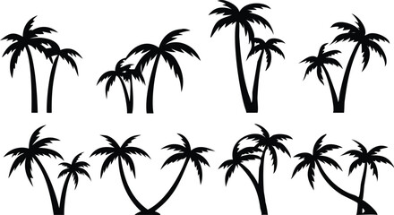 Obraz premium Tropical palm trees silhouette collection black white