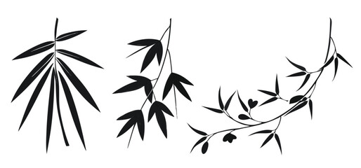 Elegant black silhouettes of bamboo and olive branches