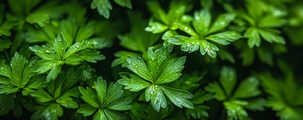 soft-focus background of green foliage, symbolizing harmony and environmental balance, Generative AI