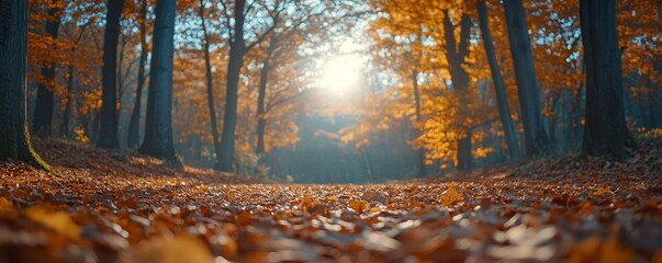 serene autumn landscape with golden and red leaves blanketing the forest floor, illuminated by soft sunlight, Generative AI