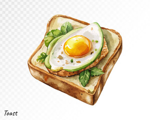 Watercolor toast with sunny-side-up egg and herbs on crisp bread, a warm and comforting breakfast illustration in soft tones. Vector illustration