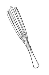 Green onion vegetable sketch vector