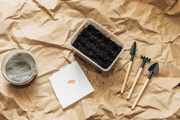 Kraft paper background, fertile soil and garden tools on top, top view. Planting seedlings in spring