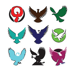 Vector colour eagle