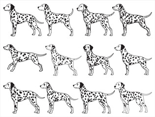 DALMATIAN SPOT DOG SILHOUETTE